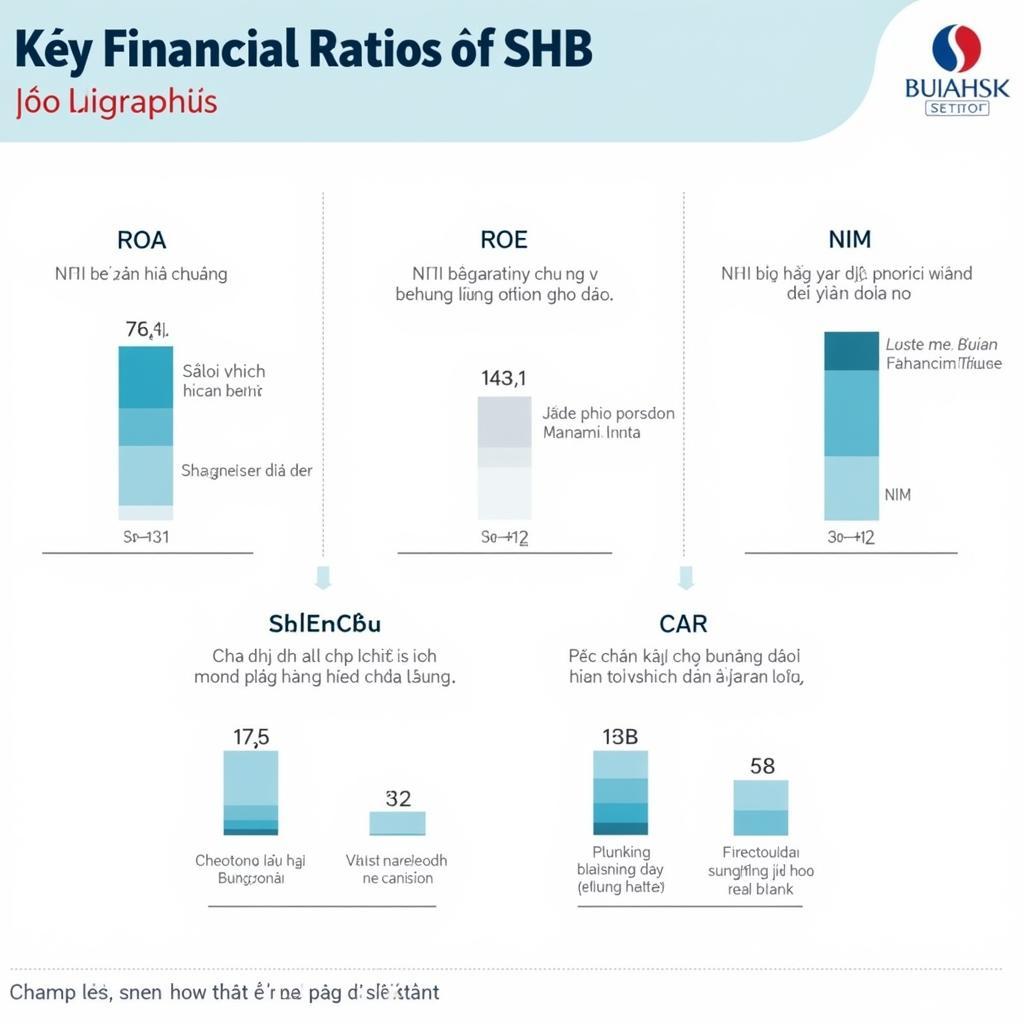 Các chỉ số tài chính quan trọng của SHB
