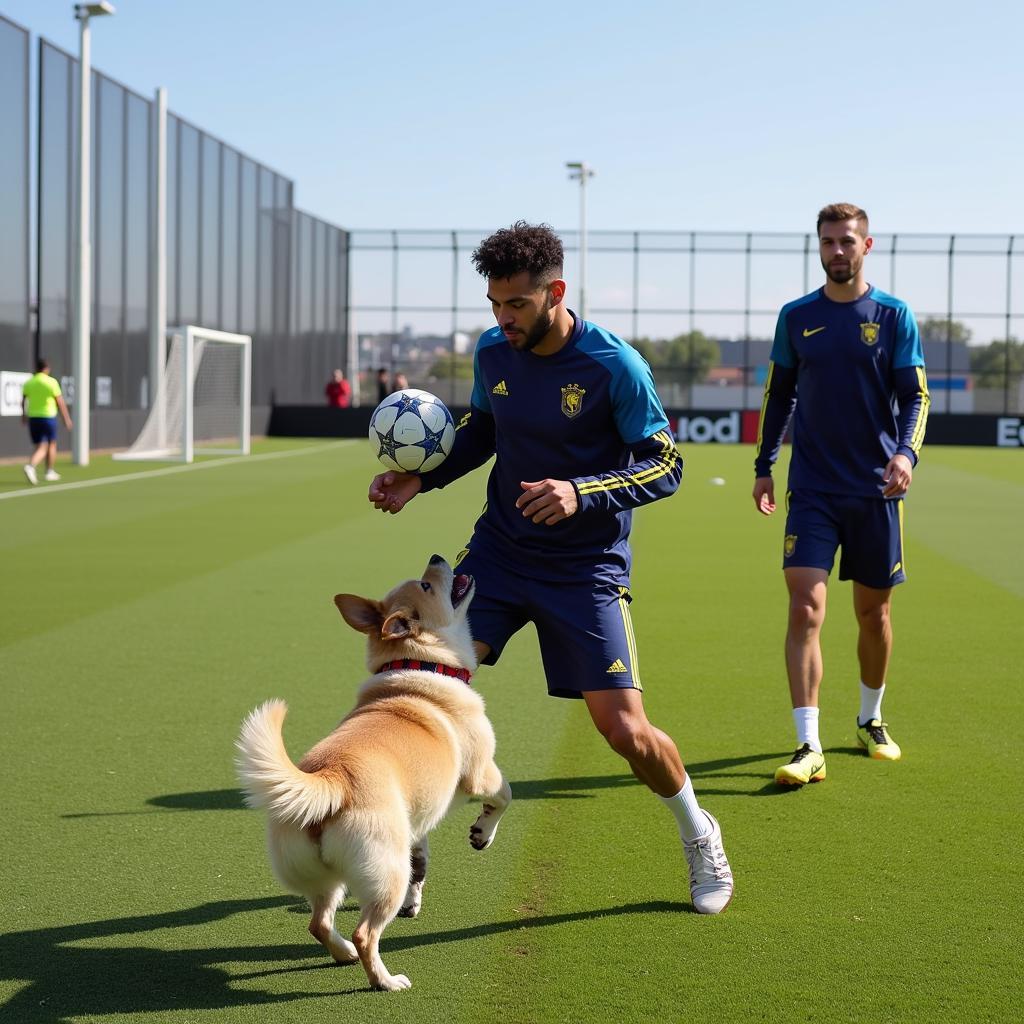 Chó cưng của Neymar trong sân tập